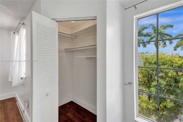 view of closet