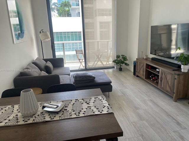 living area featuring light wood finished floors