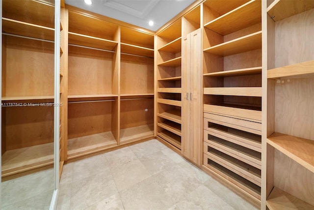 view of spacious closet