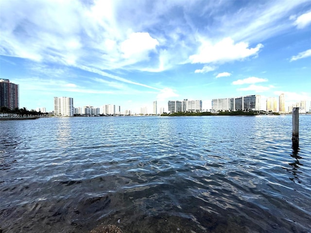 view of water feature featuring a view of city