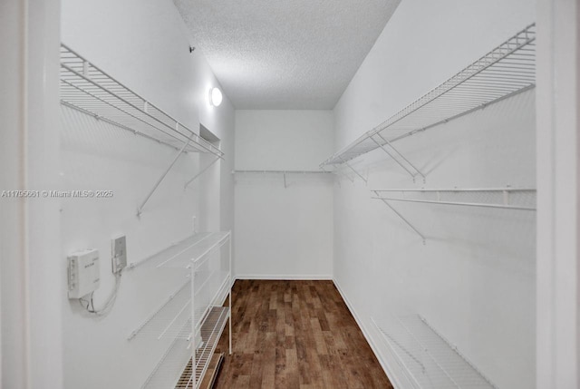 spacious closet featuring wood finished floors
