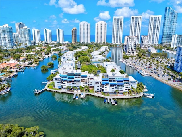 birds eye view of property featuring a city view and a water view