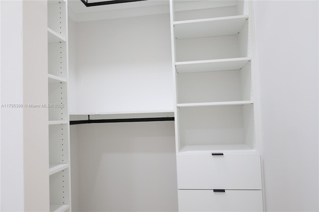 view of closet
