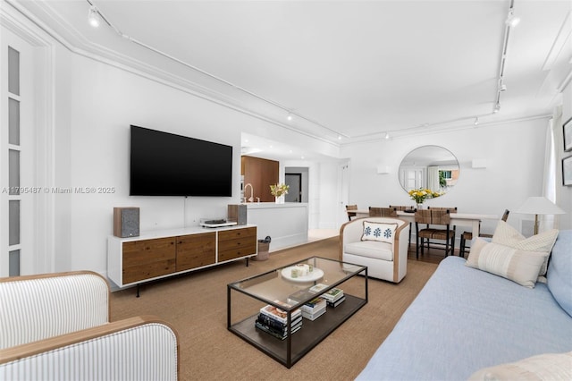 125 Jefferson Ave Unit 113, Miami Beach, FL 33139 - living room featuring track lighting and carpet floors