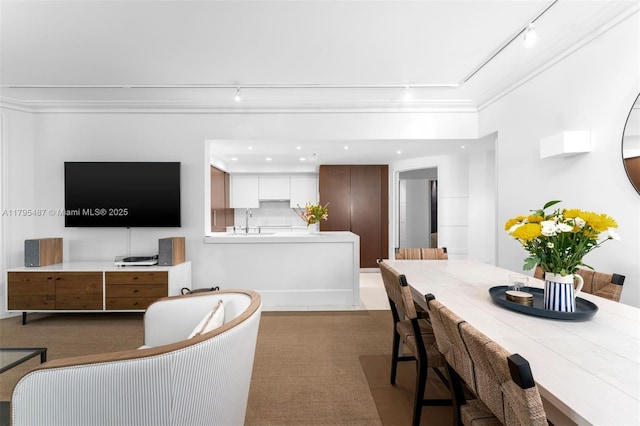 125 Jefferson Ave Unit 113, Miami Beach, FL 33139 - carpeted living area with recessed lighting, track lighting, and a sink