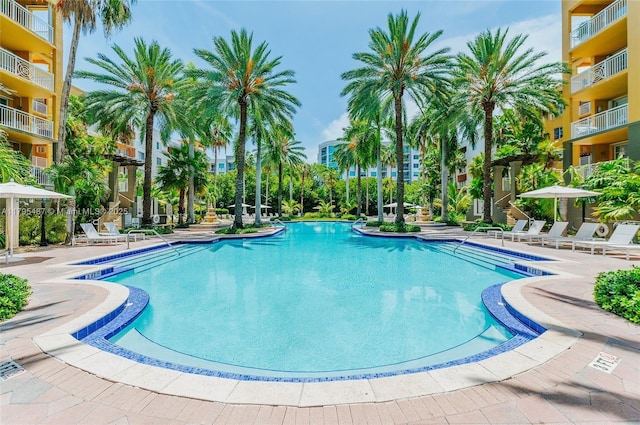 125 Jefferson Ave Unit 113, Miami Beach, FL 33139 - pool with a patio area