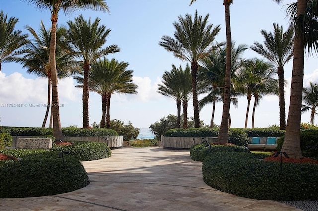 6801 Collins Ave Unit 709, Miami Beach, FL 33141 - photo 31