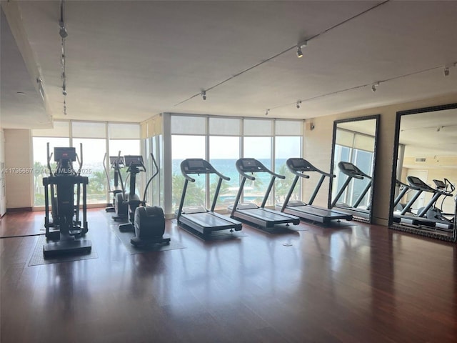 exercise room with rail lighting, expansive windows, and wood finished floors