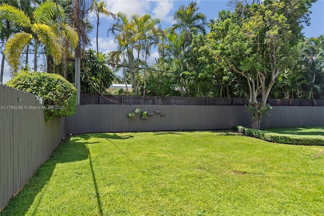 view of yard featuring a fenced backyard