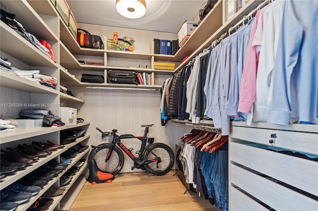 spacious closet featuring wood finished floors