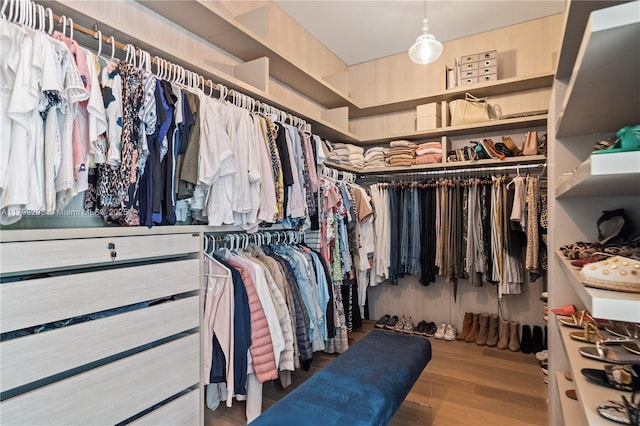spacious closet with wood finished floors