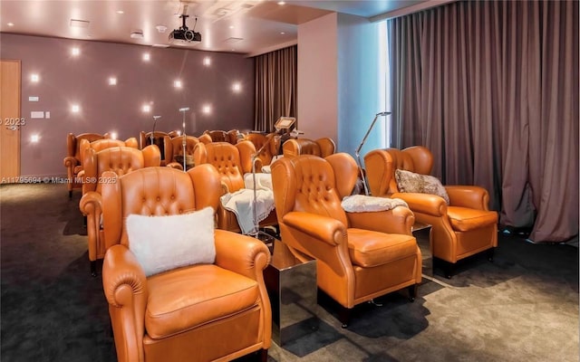 home theater room with carpet floors