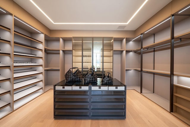 5515 Pine Tree Dr, Miami Beach, FL 33140 - spacious closet with light wood finished floors