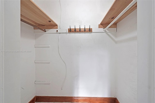 4241 W 1st Ave, Hialeah, FL 33012 - view of spacious closet
