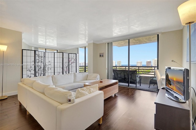 3300 NE 191st St Unit 07, Aventura, FL 33180 - living room featuring dark wood finished floors, ornamental molding, floor to ceiling windows, and baseboards
