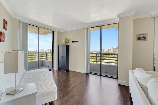3300 NE 191st St Unit 07, Aventura, FL 33180 - living area with expansive windows, ornamental molding, baseboards, dark wood-style floors, and a view of city