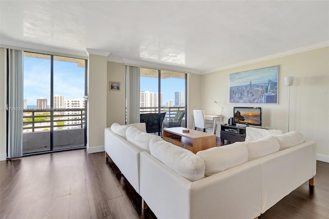 3300 NE 191st St Unit 07, Aventura, FL 33180 - living area featuring a city view, dark wood finished floors, crown molding, and plenty of natural light