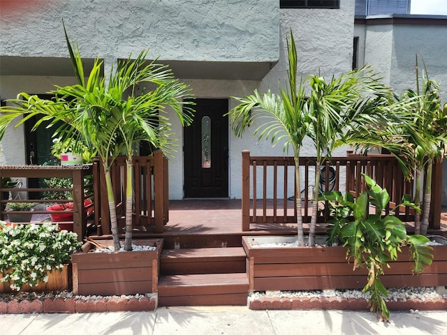 entrance to property featuring stucco siding