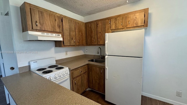 5156 NE 6th Ave Unit 205, Oakland Park, FL 33334 - kitchen with white appliances, under cabinet range hood, a sink, a textured ceiling, and dark wood-style flooring