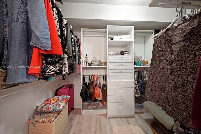 walk in closet featuring wood finished floors
