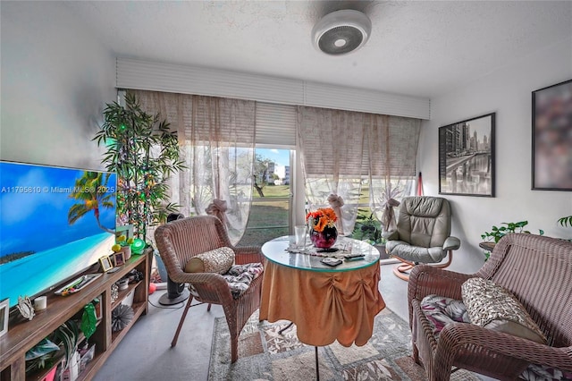 sitting room with a textured ceiling