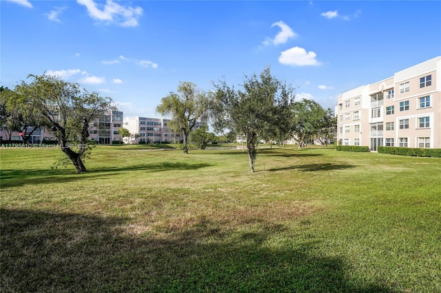 view of home's community with a yard