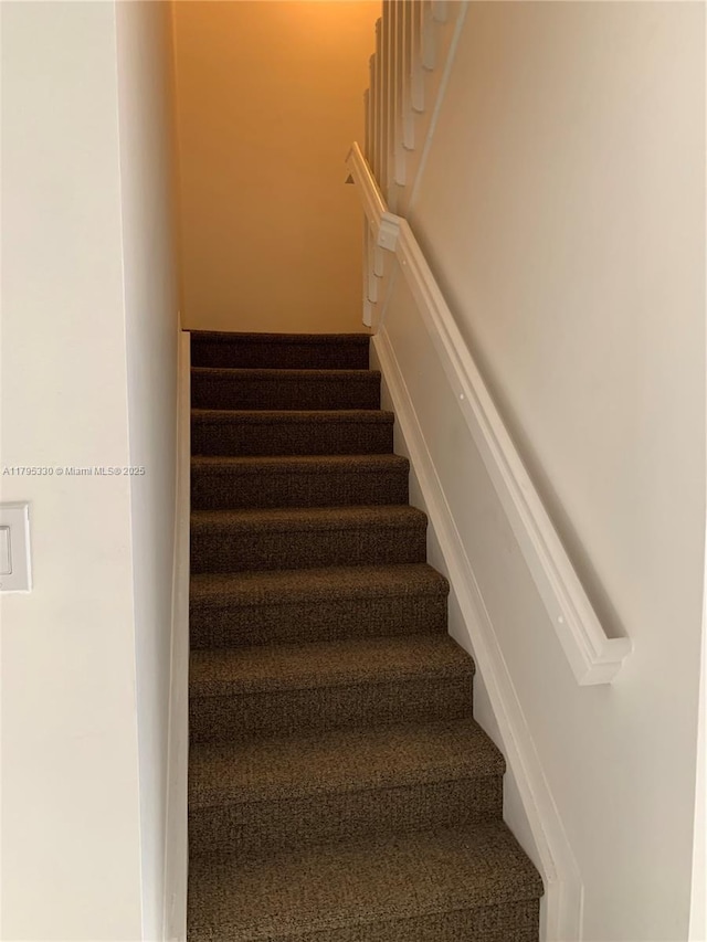 staircase featuring carpet floors