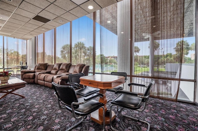 sunroom with carpet