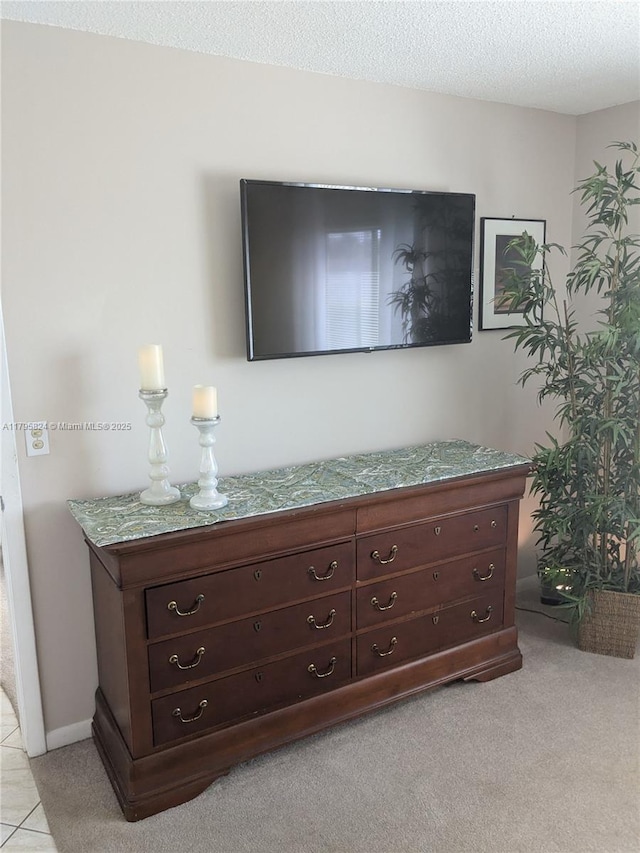 interior details featuring carpet floors and a textured ceiling