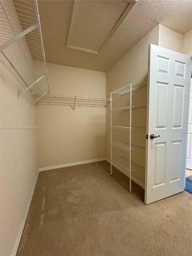 2857 Brewster St, North Port, FL 34288 - walk in closet featuring carpet floors