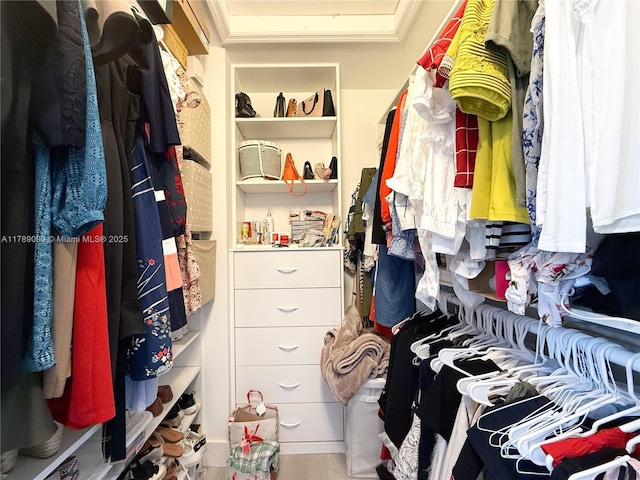 view of spacious closet