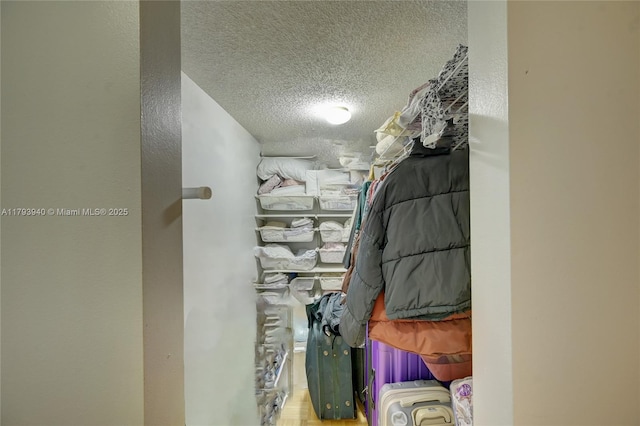 12079 W Regal Ct W, Wellington, FL 33414 - view of spacious closet