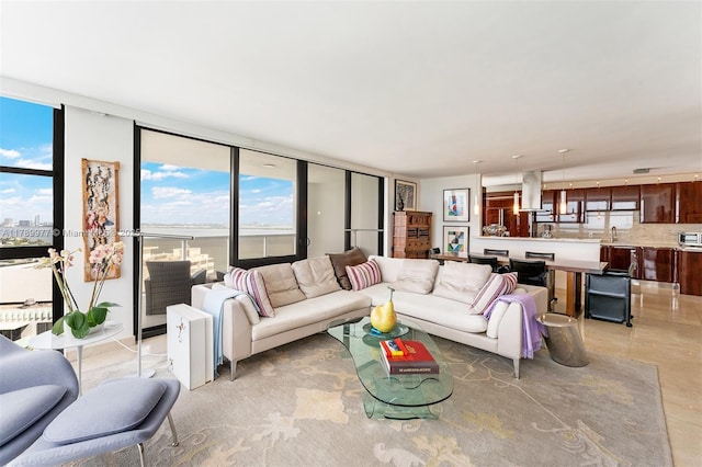 living room with plenty of natural light