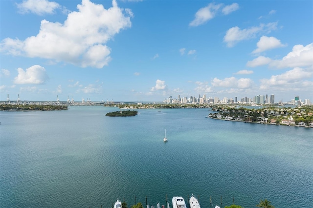 water view with a skyline view