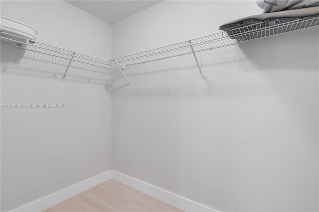spacious closet with wood finished floors