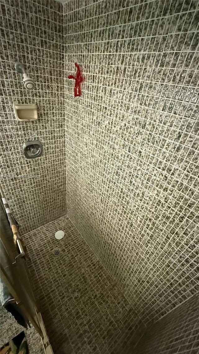 4330 Hillcrest Dr Unit 214, Hollywood, FL 33021 - bathroom view of tiled shower