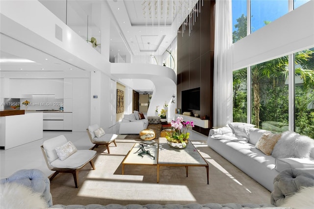 living area featuring a healthy amount of sunlight and a towering ceiling