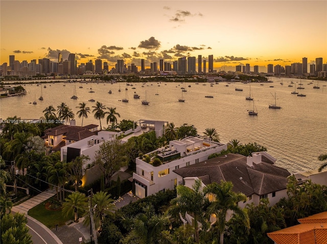 water view with a view of city