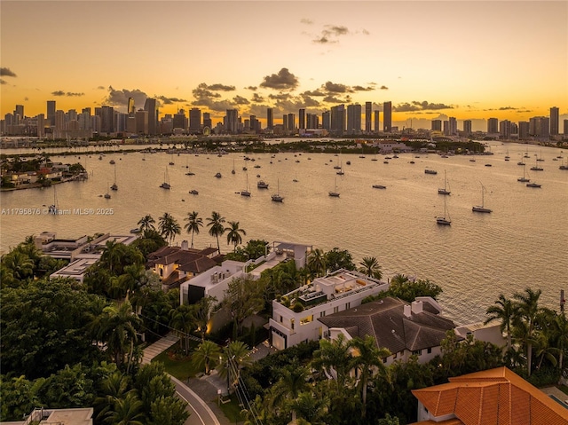 property view of water featuring a view of city