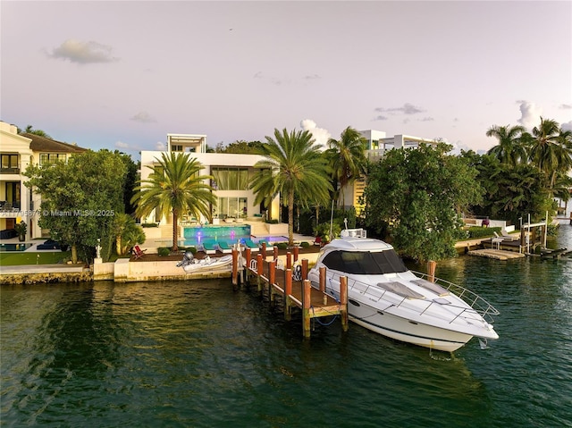 dock area with a water view