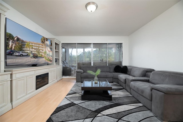 living room with light wood-type flooring