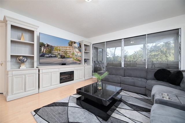 living area featuring light wood finished floors