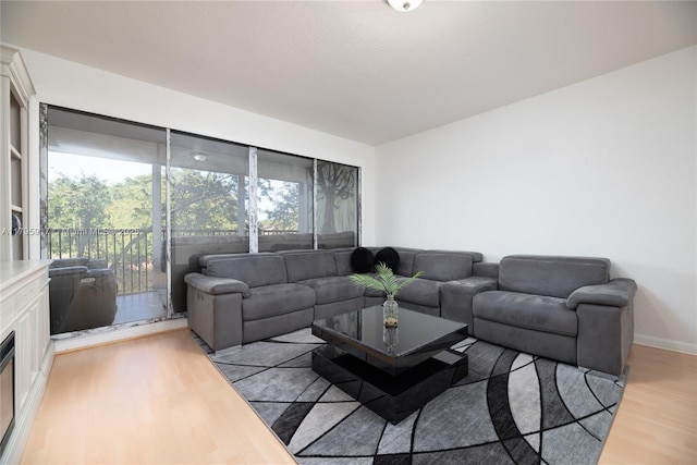 living room featuring light wood-type flooring