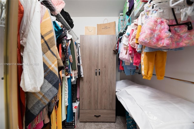 walk in closet featuring carpet flooring