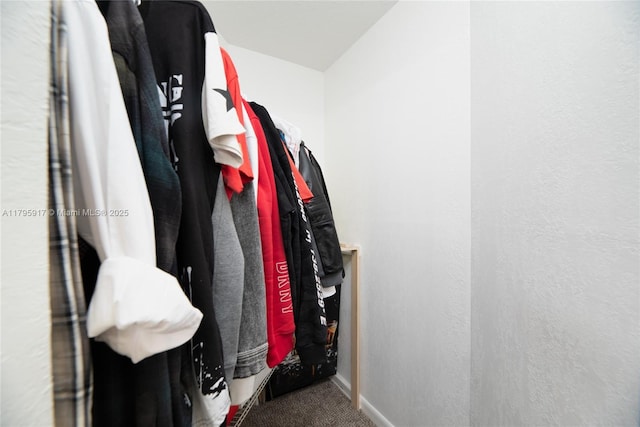 walk in closet with carpet floors