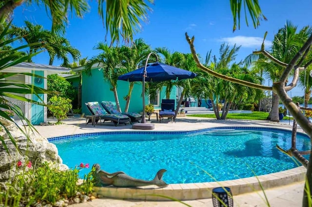 pool featuring a patio area
