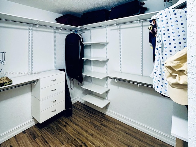 16541 Turquoise Trl, Weston, FL 33331 - walk in closet with dark wood-style floors