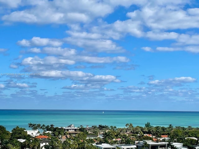 property view of water