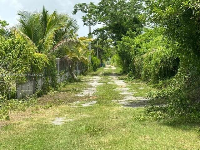 197 SW 332nd St, Homestead, FL 33034 - photo 5
