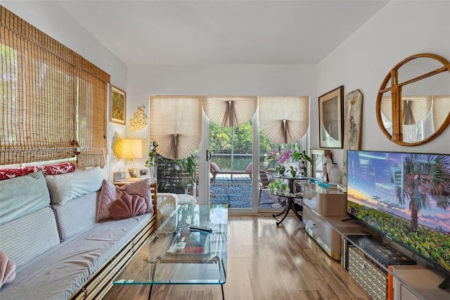 living room with wood finished floors